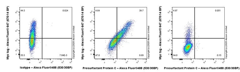 Flow Cytometry (Intracellular) - Anti-Prosurfactant Protein C antibody (AB90716)
