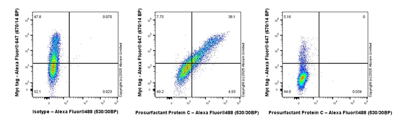 Flow Cytometry (Intracellular) - Anti-Prosurfactant Protein C antibody [EPR19839-8] - BSA and Azide free (AB270526)