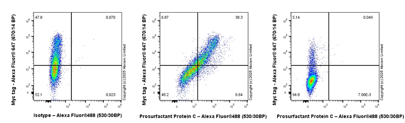 Flow Cytometry (Intracellular) - Anti-Prosurfactant Protein C antibody [EPR19839] (AB211326)