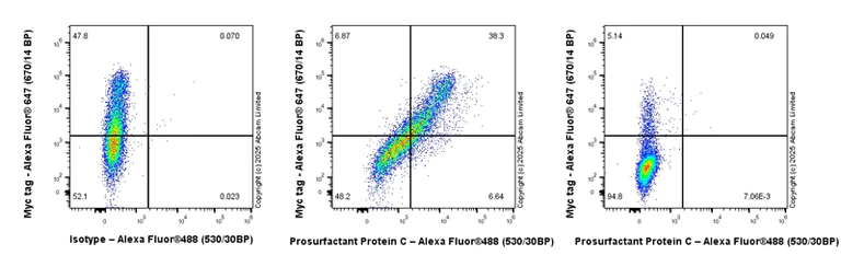 Flow Cytometry (Intracellular) - Anti-Prosurfactant Protein C antibody [EPR19839] - Low endotoxin, Azide free (AB222929)