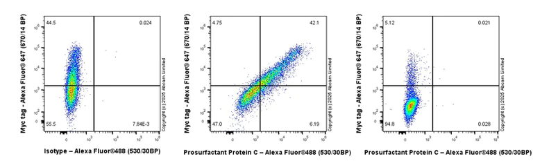 Flow Cytometry (Intracellular) - Anti-Prosurfactant Protein C antibody [EPR21012-72] - BSA and Azide free (Capture) (AB259667)