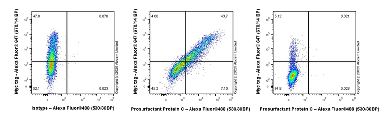 Flow Cytometry (Intracellular) - Anti-Prosurfactant Protein C antibody [EPR21012-72] - BSA and Azide free (Capture) (AB259667)