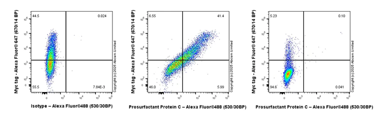 Flow Cytometry (Intracellular) - Anti-Prosurfactant Protein C antibody [EPR28174-18] (AB312850)