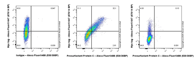 Flow Cytometry (Intracellular) - Anti-Prosurfactant Protein C antibody [RM1264] (AB322443)