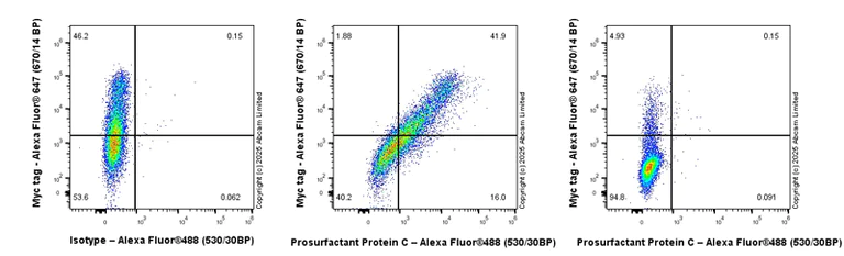Flow Cytometry (Intracellular) - Anti-Prosurfactant Protein C antibody [RM1264] (AB322443)