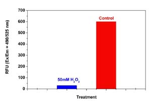 Functional Studies - Proteasome 20S Activity Assay Kit (Fluorometric) (AB112154)