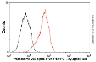 Flow Cytometry - Anti-Proteasome 20S alpha 1+2+3+5+6+7 antibody [MCP231] (AB22674)