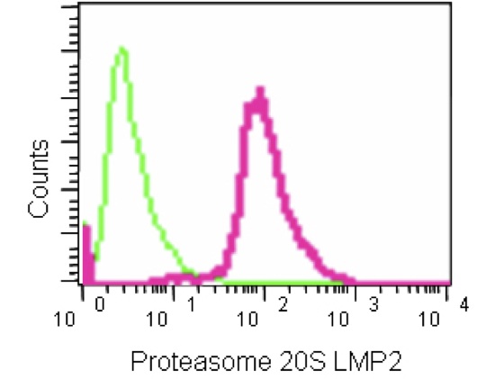 Flow Cytometry (Intracellular) - Anti-Proteasome 20S LMP2 antibody [EPR13784] (AB187645), expandable thumbnail