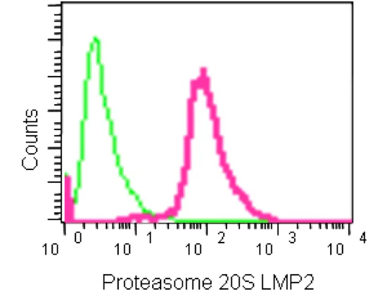 Flow Cytometry (Intracellular) - Anti-Proteasome 20S LMP2 antibody [EPR13784] - BSA and Azide free (AB250928)
