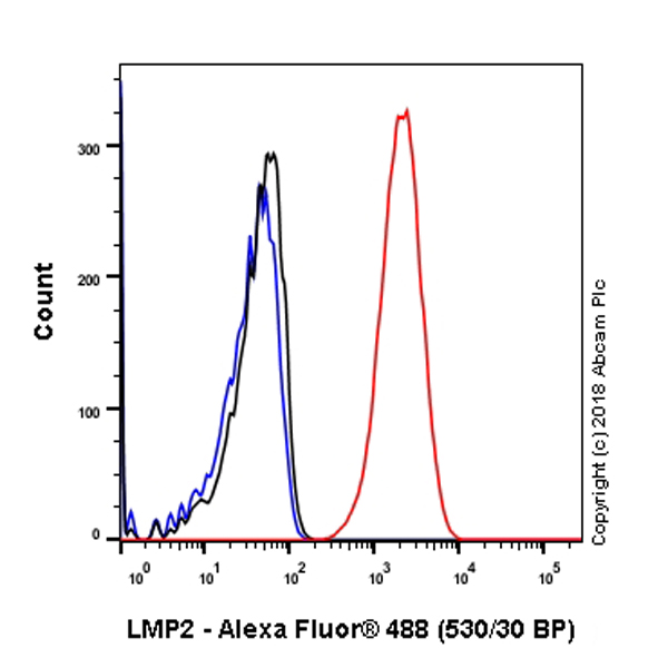 Flow Cytometry (Intracellular) - Anti-Proteasome 20S LMP2 antibody [EPR22042] (AB242061), expandable thumbnail