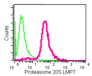Flow Cytometry (Intracellular) - Anti-Proteasome 20S LMP7 antibody [EPR14482(B)] (AB180606)