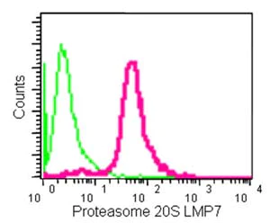 Flow Cytometry (Intracellular) - Anti-Proteasome 20S LMP7 antibody [EPR14482(B)] (AB180606)