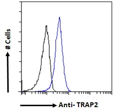Flow Cytometry (Intracellular) - Anti-Proteasome 26S S2/PSMD2 antibody (AB26078)
