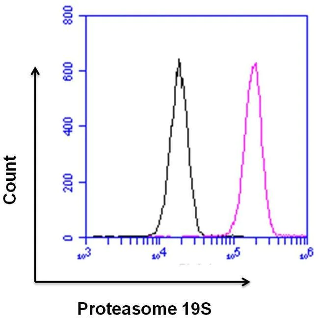 Flow Cytometry - Anti-Proteasome 26S S3/PSMD3 antibody (AB3316)