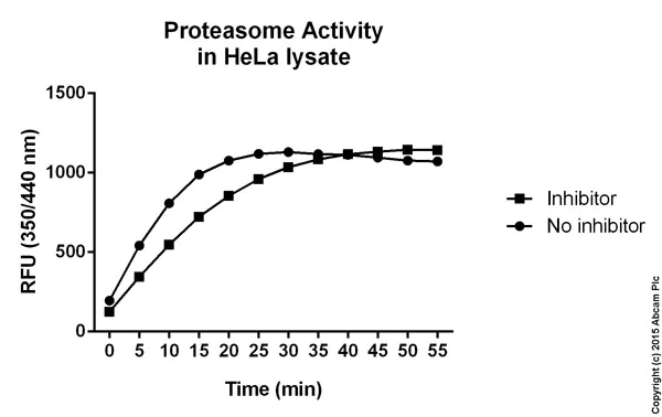 Functional Studies - Proteasome Activity Assay Kit (AB107921)