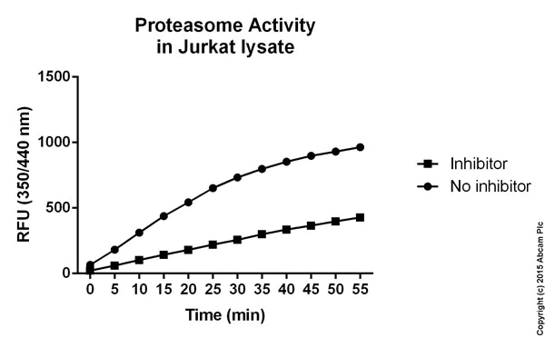 Functional Studies - Proteasome Activity Assay Kit (AB107921)