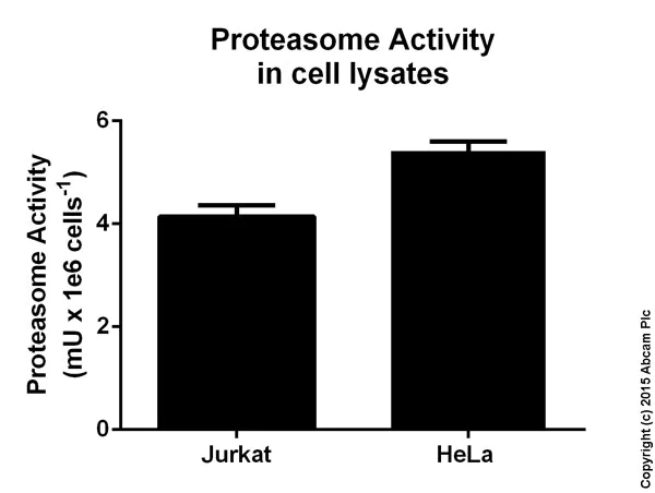Functional Studies - Proteasome Activity Assay Kit (AB107921)