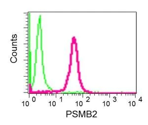 Flow Cytometry (Intracellular) - Anti-Proteasome subunit beta type 2/PSMB2 antibody [EPR8826(2)(B)] - BSA and Azide free (AB249366)