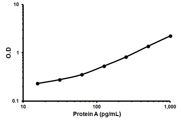 Sandwich ELISA - Protein A ELISA Kit (AB133036), expandable thumbnail