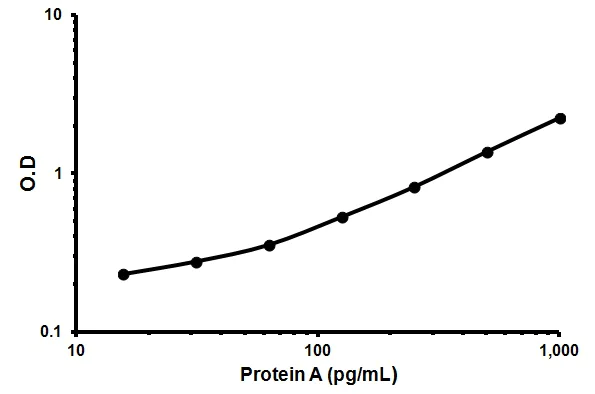 Sandwich ELISA - Protein A ELISA Kit (AB133036)