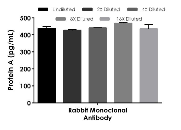 Sandwich ELISA - Protein A ELISA Kit (AB215542)