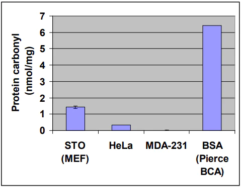 Indirect ELISA - Protein Carbonyl ELISA Kit (AB238536)