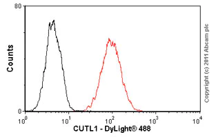 Flow Cytometry - Anti-Protein CASP antibody [2A10] - BSA and Azide free (AB54583)
