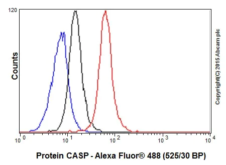 Flow Cytometry (Intracellular) - Anti-Protein CASP antibody [EPR18806] - BSA and Azide free (AB250607)