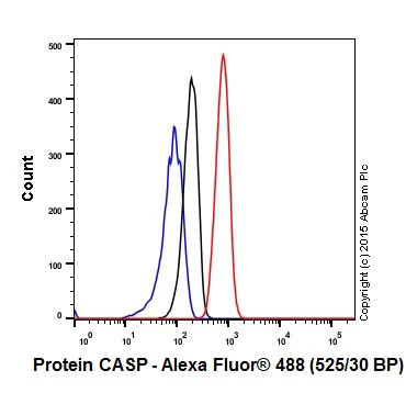 Flow Cytometry (Intracellular) - Anti-Protein CASP antibody [EPR18806] - BSA and Azide free (AB250607)