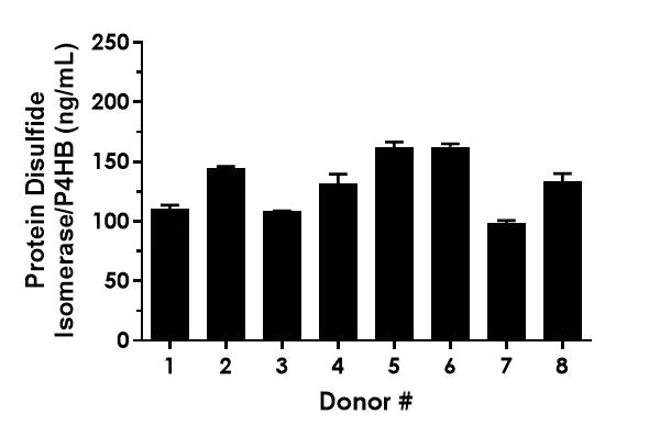 Sandwich ELISA - Protein Disulfide Isomerase/P4HB ELISA Kit - Extracellular (AB324924)