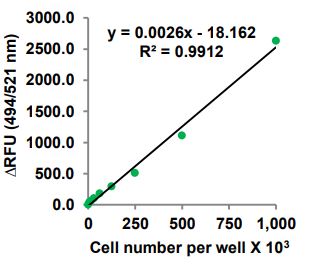 Functional Studies - Protein Synthesis Assay Kit (Green, Microplate) (AB273286), expandable thumbnail