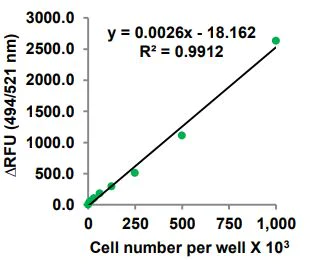 Functional Studies - Protein Synthesis Assay Kit (Green, Microplate) (AB273286)