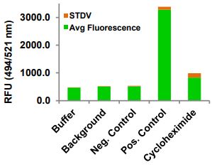 Functional Studies - Protein Synthesis Assay Kit (Green, Microplate) (AB273286), expandable thumbnail