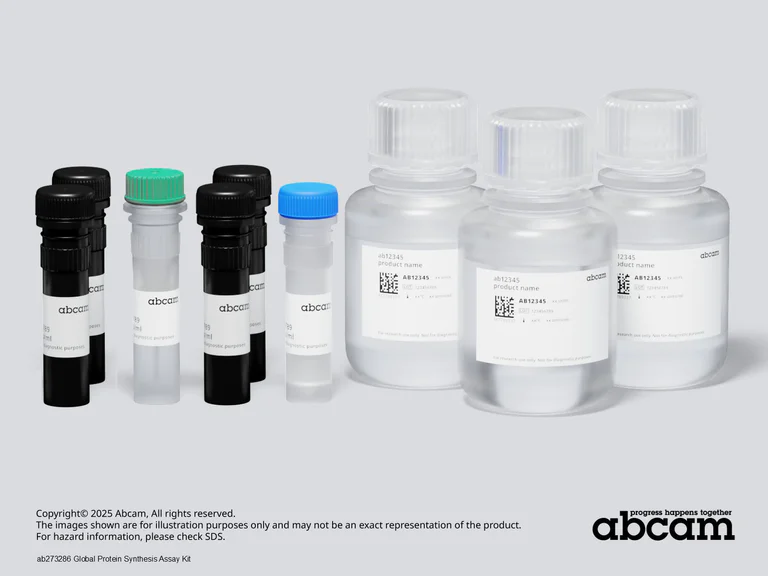 Schematic Diagram - Protein Synthesis Assay Kit (Green, Microplate) (AB273286)