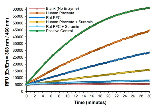 Functional Studies - Protein Tyrosine Phosphatase Assay Kit (AB241032)