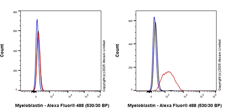 Flow Cytometry (Intracellular) - Anti-Proteinase 3/Myeloblastin antibody [EPR29801-588] - BSA and Azide free (AB324536)