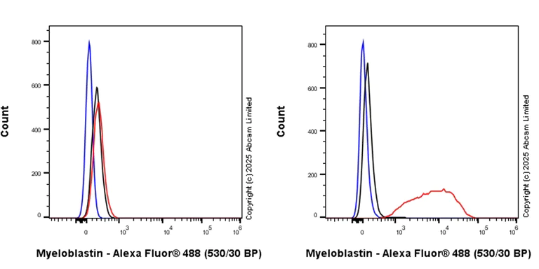 Flow Cytometry (Intracellular) - Anti-Proteinase 3/Myeloblastin antibody [EPR29801-588] - BSA and Azide free (AB324536)