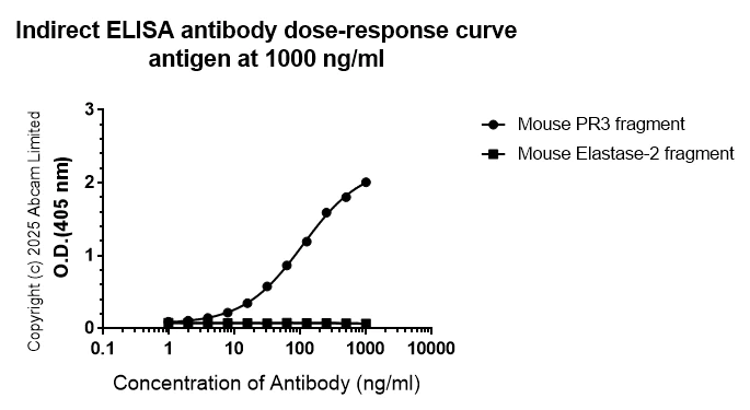 Indirect ELISA - Anti-Proteinase 3/Myeloblastin antibody [EPR29801-588] - BSA and Azide free (AB324536)