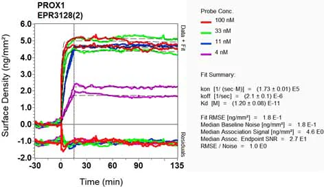 OI-RD Scanning - Anti-PROX1 antibody [EPR3128(2)] (AB124910)