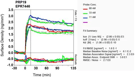 OI-RD Scanning - Anti-PRP19 antibody [EPR7446] - BSA and Azide free (AB248181)