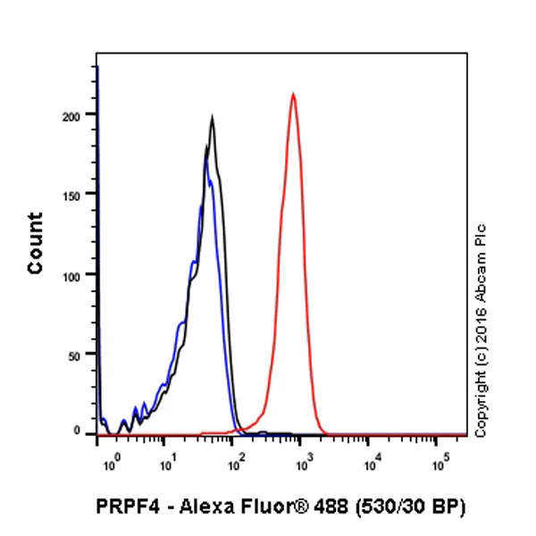 Flow Cytometry (Intracellular) - Anti-PRPF4 antibody [EPR17207] - BSA and Azide free (AB251263)