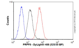 Flow Cytometry - Anti-PRPF8/Prp8 antibody [2834C1a] (AB51366)