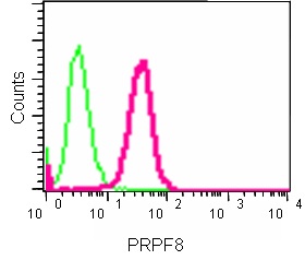 Flow Cytometry (Intracellular) - Anti-PRPF8/Prp8 antibody [EPR15229] - C-terminal (ab185547), expandable thumbnail