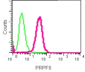 Flow Cytometry (Intracellular) - Anti-PRPF8/Prp8 antibody [EPR15229] - C-terminal (AB185547)