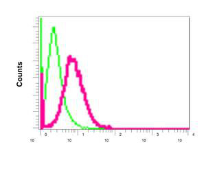 Flow Cytometry (Intracellular) - Anti-PSD93 antibody [EPR8740] - BSA and Azide free (AB249039)