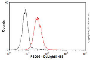 Flow Cytometry - Anti-PSD95 antibody [7E3-1B8] - Synaptic Marker (AB13552)