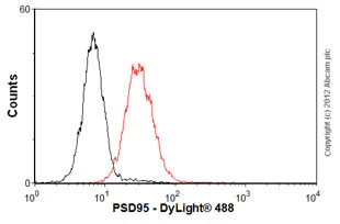 Flow Cytometry - Anti-PSD95 antibody [7E3-1B8] - Synaptic Marker (AB13552)