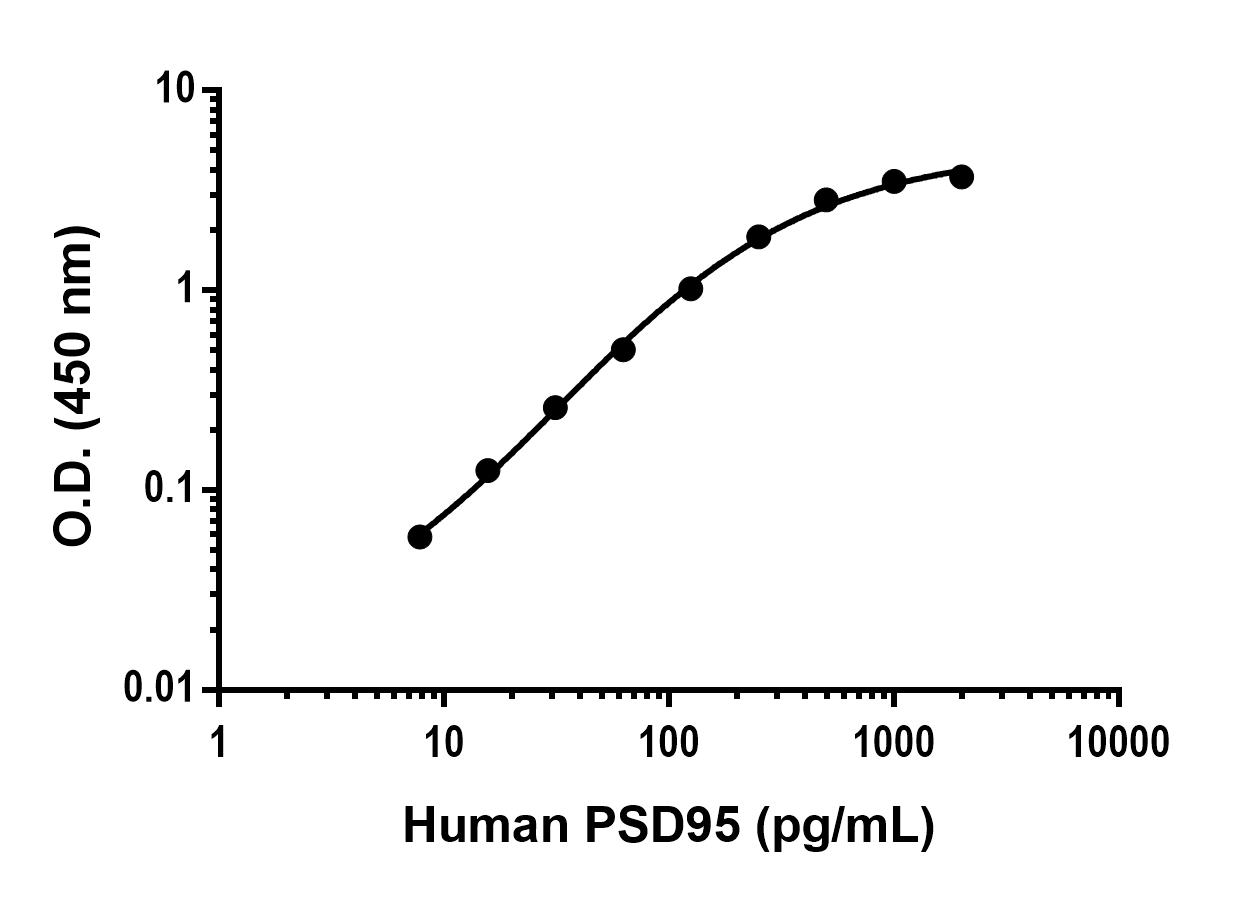 Sandwich ELISA - Anti-PSD95 antibody [EPR25940-7] - BSA and Azide free (Capture) (AB307901)
