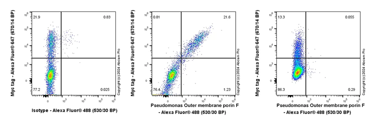 Flow Cytometry (Intracellular) - Anti-Pseudomonas Outer membrane porin F antibody [EPR28629-91] (AB316973)