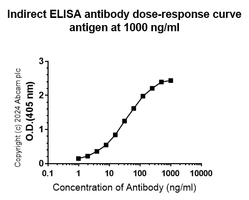 Indirect ELISA - Anti-Pseudomonas Outer membrane porin F antibody [EPR28629-91] (AB316973)